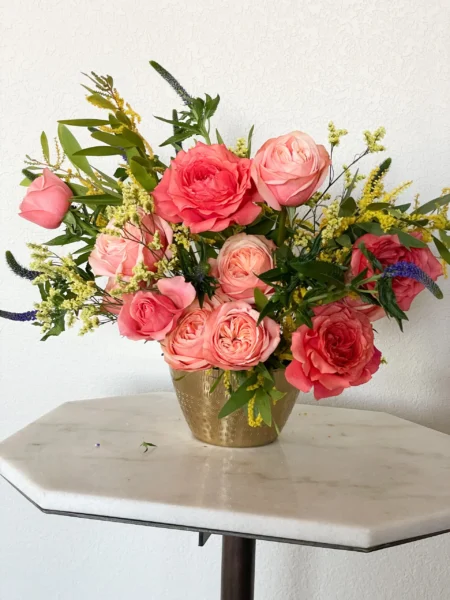 IMG_4435 Coral Charm