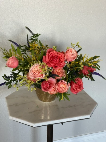 IMG_4436 Coral Charm