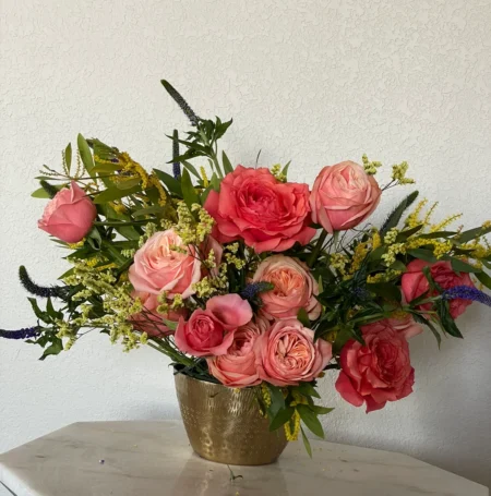 IMG_7239 Coral Charm